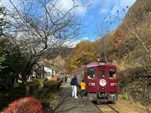 紅葉狩り鉄分補給つき