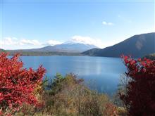 本栖湖へ紅葉を見に行って来ました♪