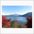 本栖湖へ紅葉を見に行って来ました♪