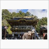 久しぶりの東北・北関東旅　～ ...