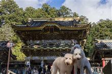 久しぶりの東北・北関東旅　～日光東照宮と戦場ヶ原・湯ノ湖観光編～