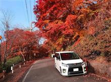 山&#215;VOXY　part23