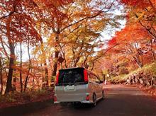 山&#215;VOXY　part25