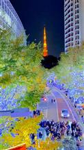 東京・六本木クリスマス2024けやき坂イルミネーション見てきた