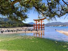 安芸の宮島（厳島）今年 最後の紅葉