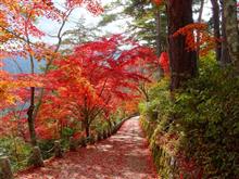 吉野山を散策しました！ ①　～2024年紅葉狩り～