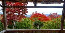 吉野山を散策しました！ ②　～2024年紅葉狩り～