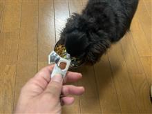 本日も乙乙サマンサ〜🙋‍♂️