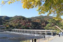 2024　京都　紅葉狩り散歩🍁　嵐山・嵯峨野・北野天満宮