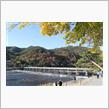 2024　京都　紅葉狩り散歩🍁　嵐山・嵯峨野・北野天満宮