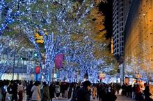 イルミネーション巡り2024 第二弾　六本木・新宿