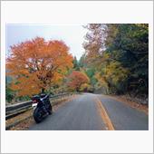 奥三河の紅葉（また雨で中断� ...
