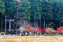 初冬のモネの池
