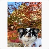 太宰府で紅葉　海岸の洞窟
