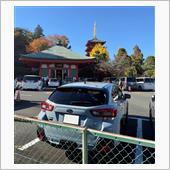 🚙紅葉狩りならぬイチョウ狩 ...