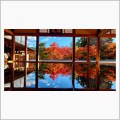 宝徳寺の床もみじ🍁