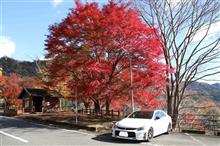 🍁滋賀紅葉狩り🍁ドライブ　太郎坊宮・西教寺