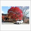 🍁滋賀紅葉狩り🍁ドライブ　太郎坊宮・西教寺