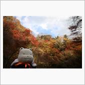 養老渓谷の紅葉