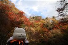 養老渓谷の紅葉