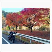 三重県と奈良県の県境にある、 ...