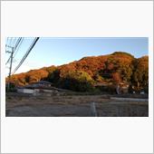 近所の紅葉