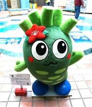 ★１２月『奥多摩湖オフプログ』今年最後の奥多摩湖オフ！皆勤賞＆集合撮影会♪FC-WORKS奥多摩湖オフ開催です！(^^♪