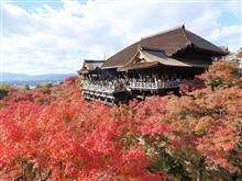 2024_晩秋_京都・滋賀紅葉旅（その3：知恩院～清水寺）