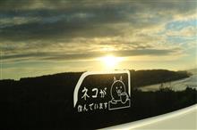 北海道迄お散歩～🐱でも、本当は・・・