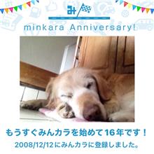 ボンゴフレンディで始めたみんカラ