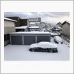 今年、初の積雪❄️