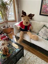 エルクくんもクリスマス