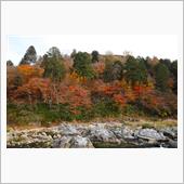 愛知県の紅葉には間に合ったの ...
