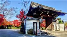 将軍塚の紅葉