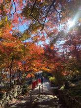 普門寺の紅葉🍁