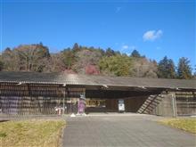 那珂川町観光大使への道