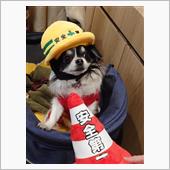 小倉城プロジェクションマッピ ...