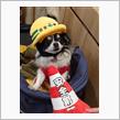 小倉城プロジェクションマッピング
