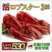 今年はこれ