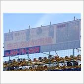 POPULAR SIGHTS ...