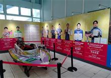 本日はLIVE参戦⤴