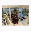  Christmas atmosphere everywhere (^^)