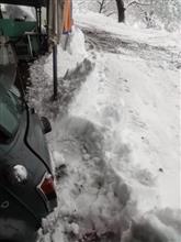 雪降ったな～