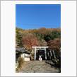 家族写真の撮影で犬山へ