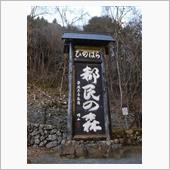 三頭山へ向かったけど挫折