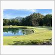 GOLF 2024