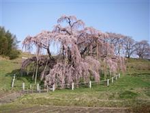 12月25日は・・・。