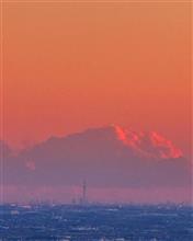 大岩山からの景色。