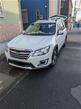 年内最後の洗車です（+ランカ子ちゃんの思い出）