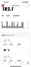 チラ裏備忘録　12月及び2024年のランニング成果